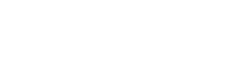 logo ExpressCar
